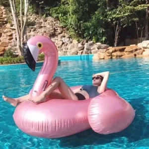 Giant Inflatable Flamingo and Unicorn Pool Floats